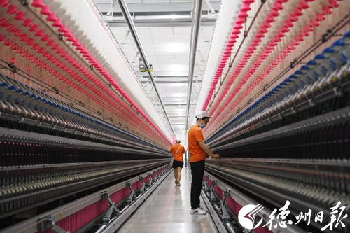 德州期中考今日第一站 夏津縣技術(shù)進(jìn)出口的活力與潛力